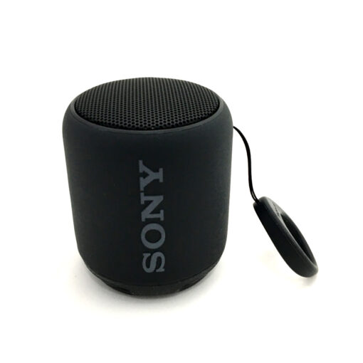 srsxb10b portable bluetooth speaker